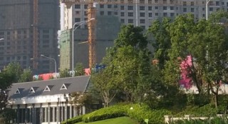 ����MX4��С��4���նԱȣ�����˭�ܸ�ʤһ�