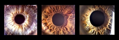 ���벻����iPhone����