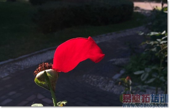 iPhone6������������߱���