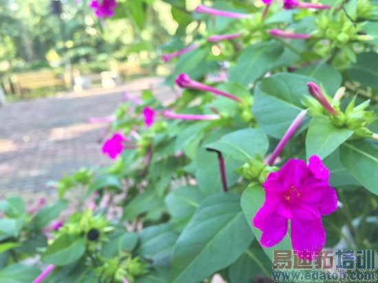 iPhone6������������߱���