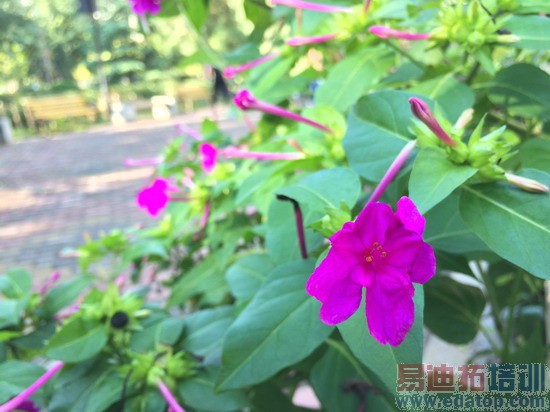 iPhone6������������߱���