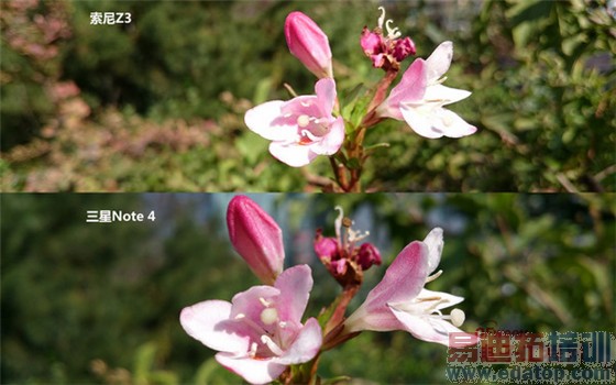 �۷�Ծ�������Note4���նԱ�����Z3 ��ΪMate7����MX4ProС��4��Ĭ