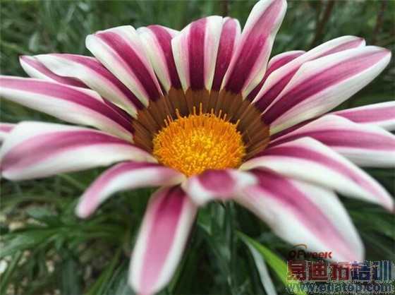 ���潻��iPhone6Plus����Note4���նԱ� ����MX4Pro/��ΪMate7����