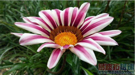 ���潻��iPhone6Plus����Note4���նԱ� ����MX4Pro/��ΪMate7����