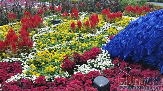 ���潻��iPhone6Plus����Note4���նԱ� ����MX4Pro/��ΪMate7����