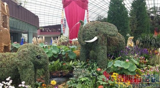 正面交火:iPhone6Plus三星Note4拍照对比 魅族MX4Pro/华为Mate7不哭