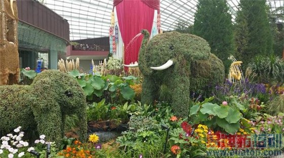 正面交火:iPhone6Plus三星Note4拍照对比 魅族MX4Pro/华为Mate7不哭