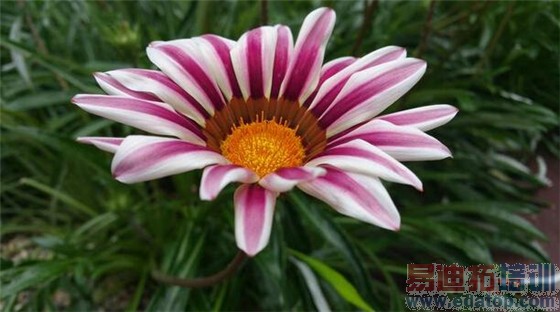 ���潻��iPhone6Plus����Note4���նԱ� ����MX4Pro/��ΪMate7����