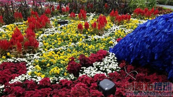 ���潻��iPhone6Plus����Note4���նԱ� ����MX4Pro/��ΪMate7����