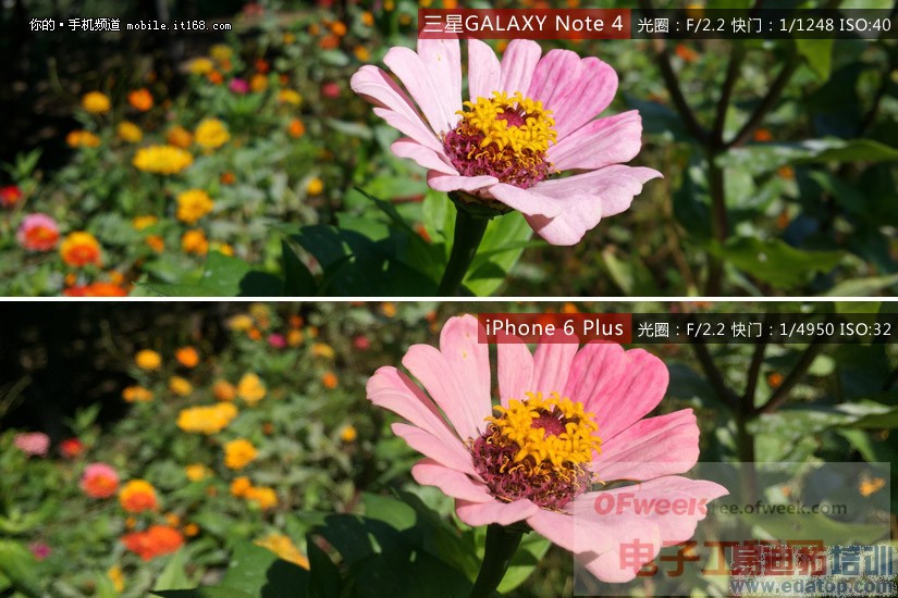 �������նԾ� ����Note4�Ա�iPhone6 Plus˭�ܸ���������