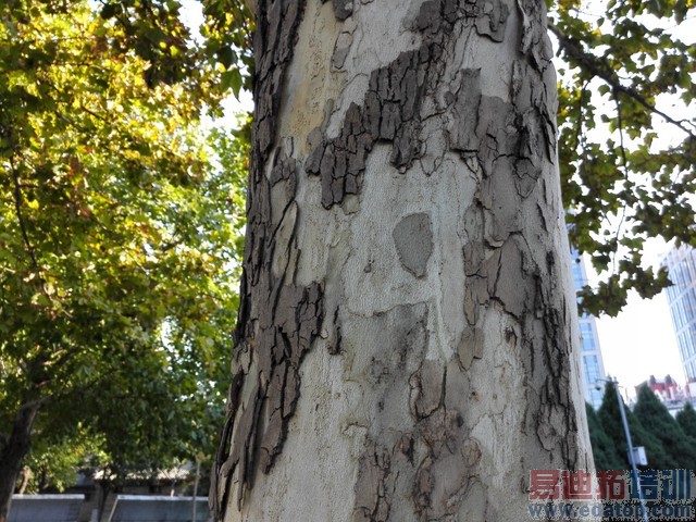 ��ΪMate7���նԱ�����MX4��1300���ܷ���Ϯ2070�����أ�