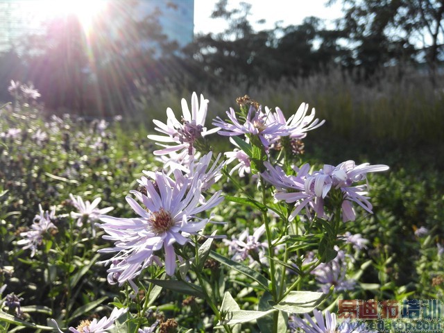 ��ΪMate7���նԱ�����MX4��1300���ܷ���Ϯ2070�����أ�