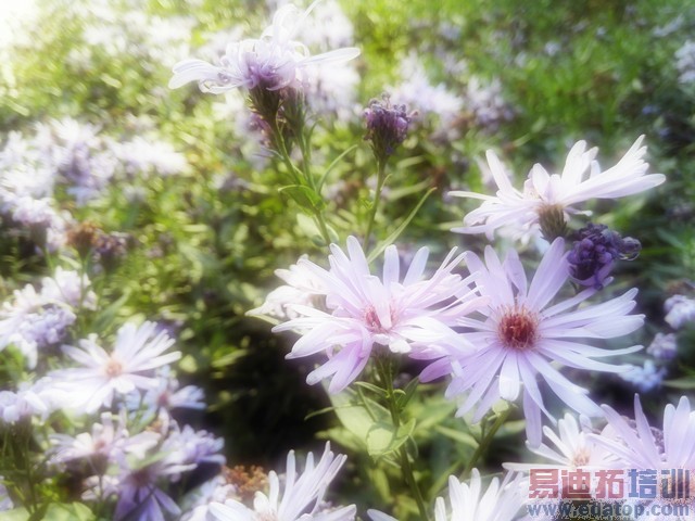 ��ΪMate7���նԱ�����MX4��1300���ܷ���Ϯ2070�����أ�