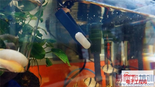 米粉为何疯狂?最具性价比