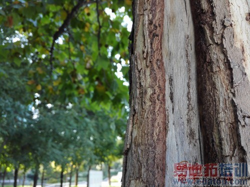 ��ΪMate7/����MX4���նԱ����⣺����MX4 proֵ���ڴ���