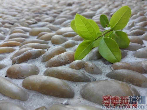 ��ΪMate7/����MX4���նԱ����⣺����MX4 proֵ���ڴ���