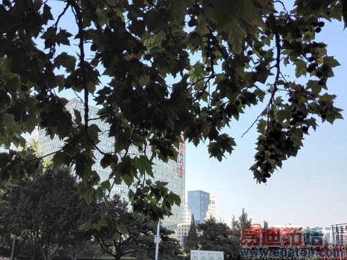 ��ΪMate7/����MX4���նԱ����⣺����MX4 proֵ���ڴ���