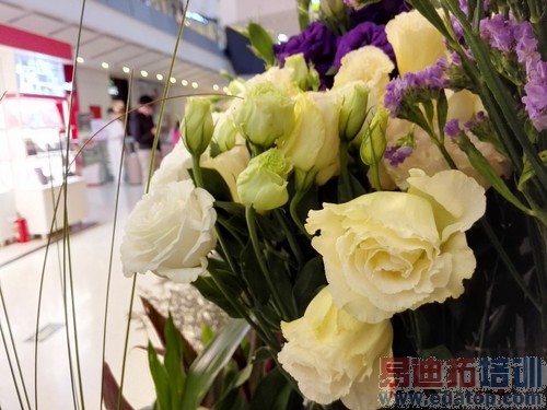 ��ΪMate7/����MX4���նԱ����⣺����MX4 proֵ���ڴ���