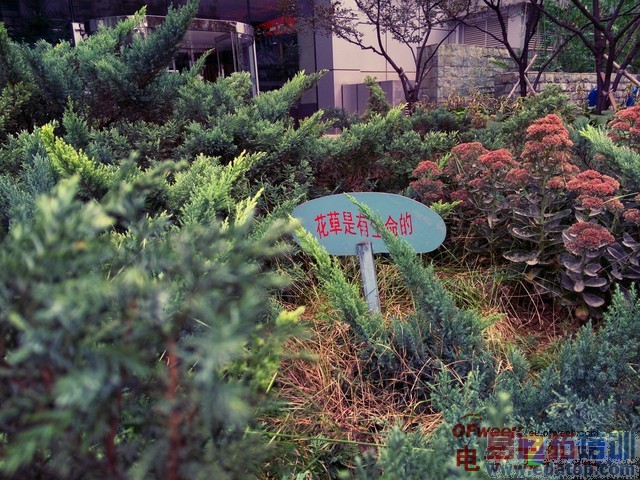 ��ΪMate7/����MX4���նԱ����⣺����MX4 proֵ���ڴ���