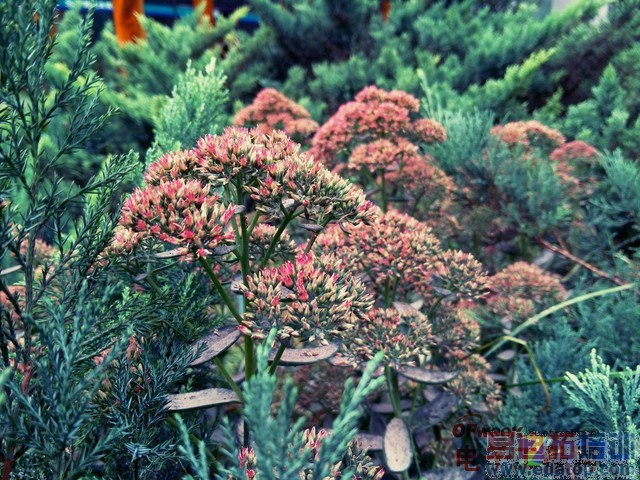 ��ΪMate7/����MX4���նԱ����⣺����MX4 proֵ���ڴ���