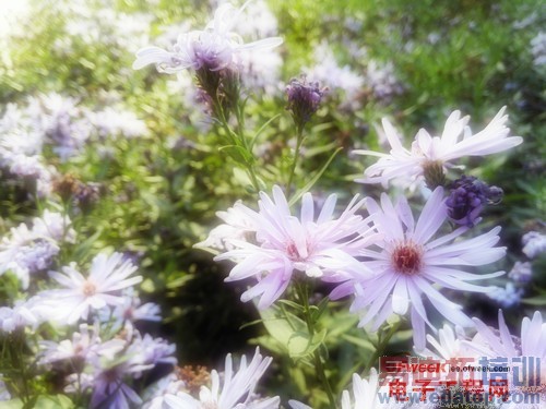 ��ΪMate7/����MX4���նԱ����⣺����MX4 proֵ���ڴ���