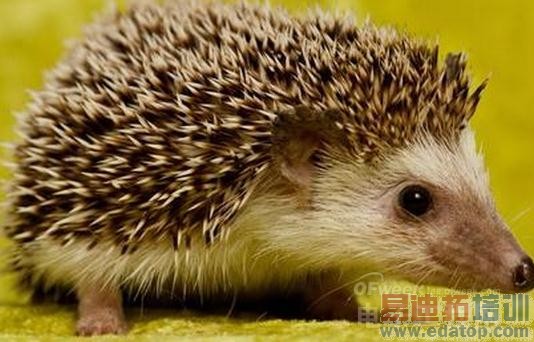 ������С���Ʋ��ϻ�Ϊ MX4Ϊ����������˰�����