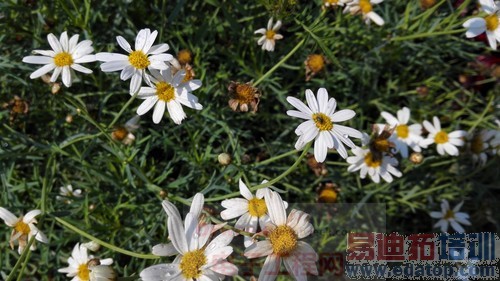 ����ʵ������ΪMate7������Σ���˼����925ֵ���ڴ���