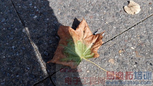 ����ʵ������ΪMate7������Σ���˼����925ֵ���ڴ���