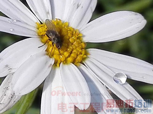 ����ʵ������ΪMate7������Σ���˼����925ֵ���ڴ���