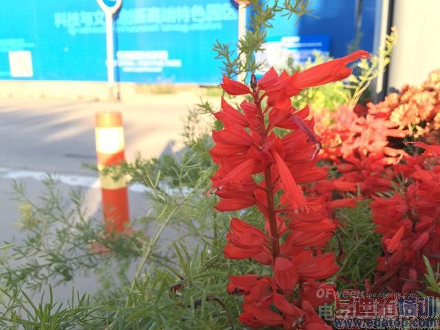 ����iPhone 6/6 Plus���⣺����Ҳֵ ����MX4 Proϴϴ˯�ɣ�