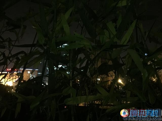 ����iPhone 6/6 Plus���⣺����Ҳֵ ����MX4 Proϴϴ˯�ɣ�