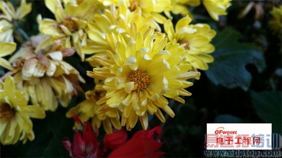 ǰ�л�ΪMate7����iPhone6 Plus ��������Note4