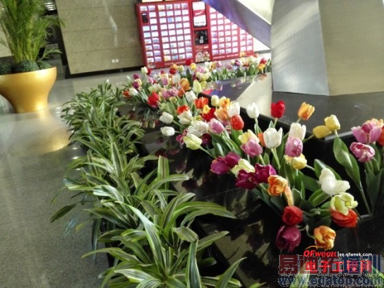 ��ΪMate7�Ա�����MX4���⣺��˼����925/MT6595��˺˶Ծ�