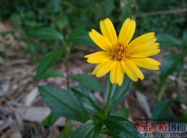 魅族MX4对比nubia Z7 mini深度对比评测