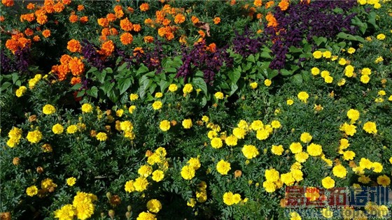 ����ͷ֮����iPhone6 Plus�Ա�����Note4 ��˦��ΪMate7/HTC