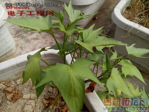 ���������⡿ϵͳ���º������MX4���ڴ��콢Pro ֱ��С��4��ΪMate7