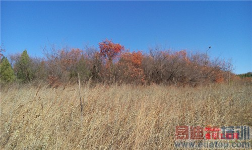 魅族MX4 Pro还需要出手吗?MX4对比荣耀6全面评测(附曝光)