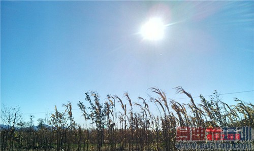 魅族MX4 Pro还需要出手吗?MX4对比荣耀6全面评测(附曝光)