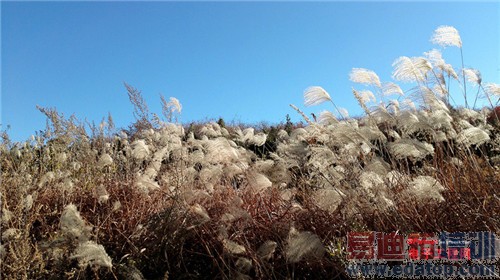 魅族MX4 Pro还需要出手吗?MX4对比荣耀6全面评测(附曝光)