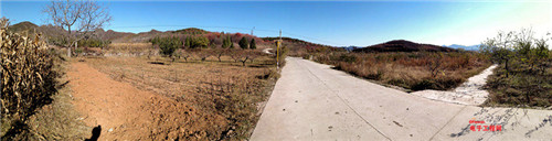 魅族MX4 Pro还需要出手吗?MX4对比荣耀6全面评测(附曝光)