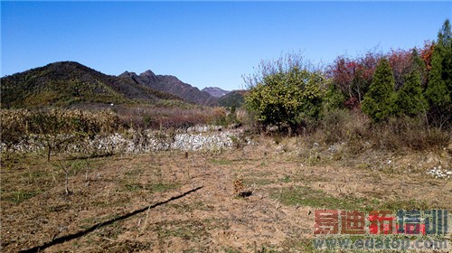 魅族MX4 Pro还需要出手吗?MX4对比荣耀6全面评测(附曝光)