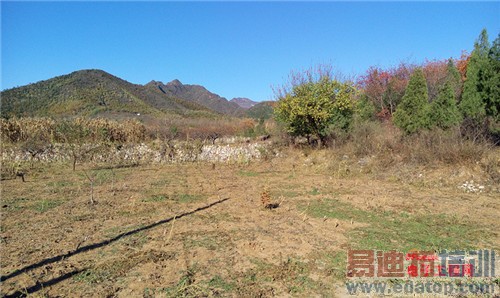 魅族MX4 Pro还需要出手吗?MX4对比荣耀6全面评测(附曝光)