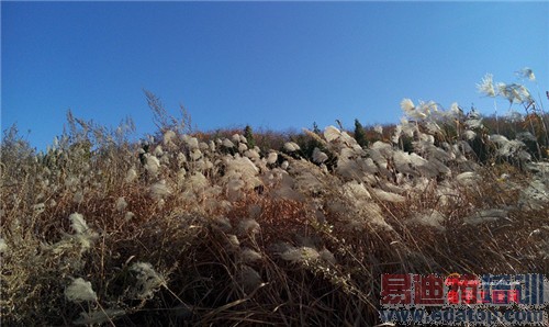 魅族MX4 Pro还需要出手吗?MX4对比荣耀6全面评测(附曝光)