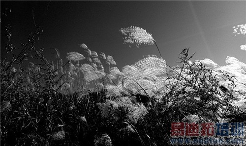 魅族MX4 Pro还需要出手吗?MX4对比荣耀6全面评测(附曝光)