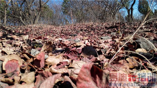 魅族MX4 Pro还需要出手吗?MX4对比荣耀6全面评测(附曝光)