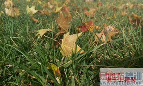 白色魅族MX4最新最全评测:MX4 Pro大招在后头!