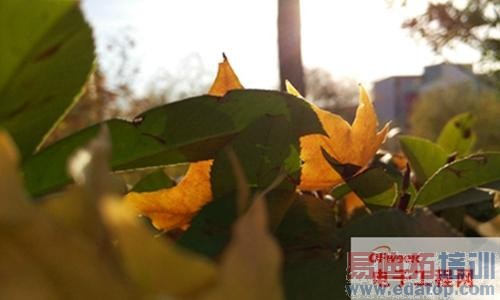 白色魅族MX4最新最全评测:MX4 Pro大招在后头!