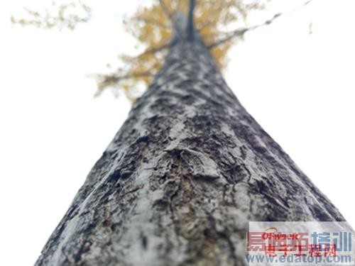 白色魅族MX4最新最全评测:MX4 Pro大招在后头!