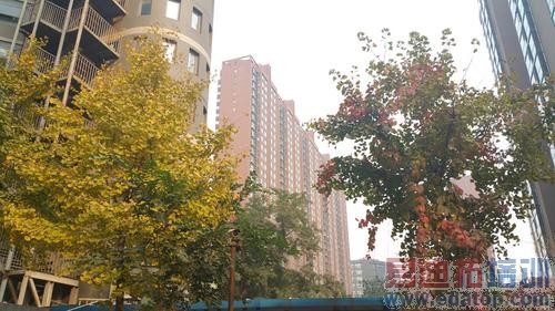 ��ΪMate7/����Note4�Ա����⣺�����콢֮�� ��˼о����