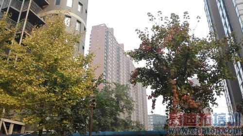 ��ΪMate7/����Note4�Ա����⣺�����콢֮�� ��˼о����